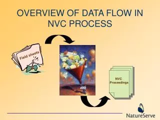 OVERVIEW OF DATA FLOW IN NVC PROCESS