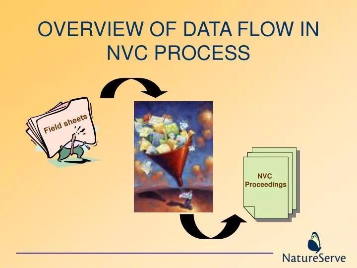overview of data flow in nvc process