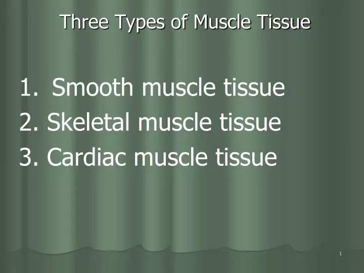 three types of muscle tissue