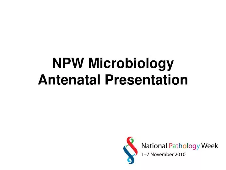 npw microbiology antenatal presentation