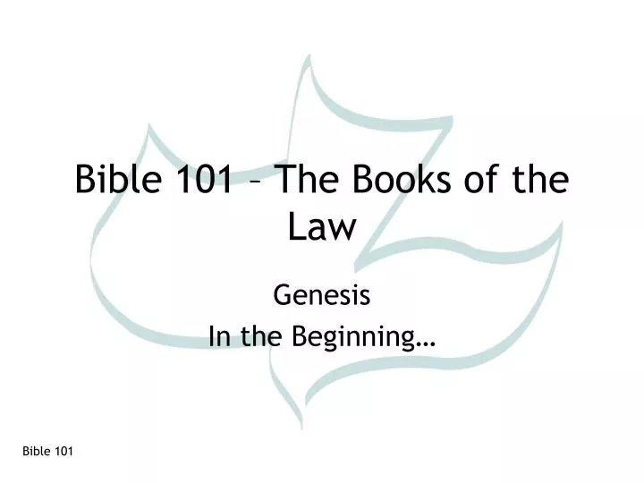 bible 101 the books of the law