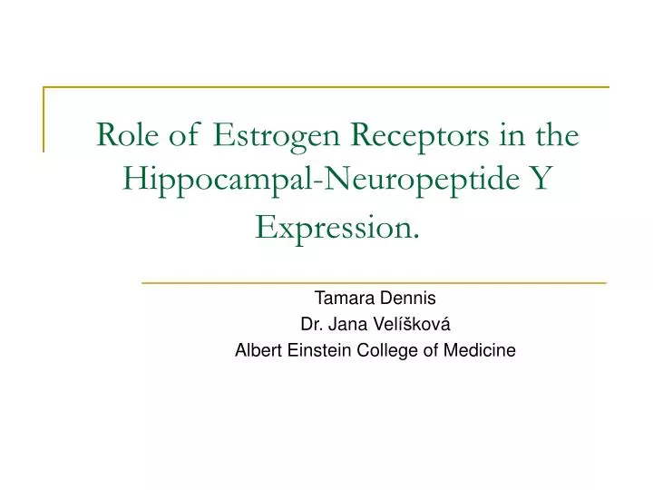 role of estrogen receptors in the hippocampal neuropeptide y expression