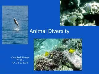 Animal Diversity