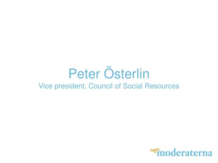 peter sterlin vice president council of social resources