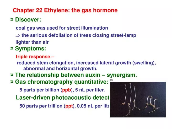 chapter 22 ethylene the gas hormone