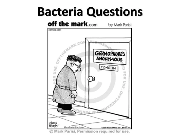 bacteria questions
