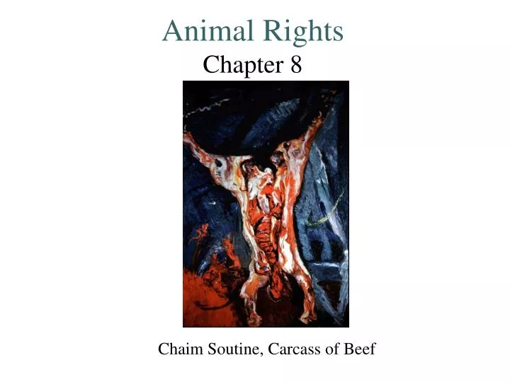 animal rights chapter 8