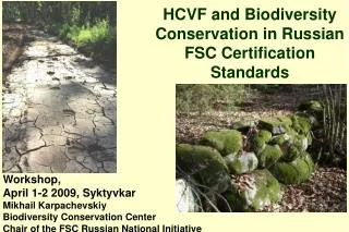 hcvf and biodiversity conservation in russian fsc certification standards