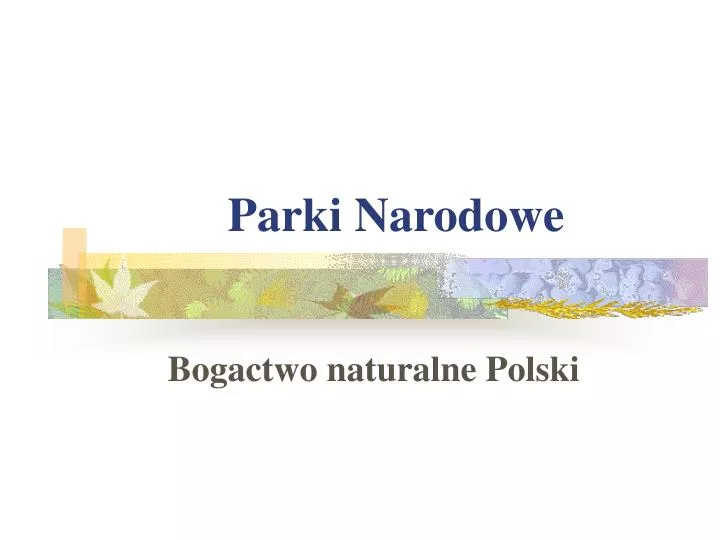 parki narodowe