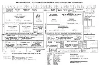 MBChB Curriculum - School of Medicine - Faculty of Health Sciences - First Semester 2014