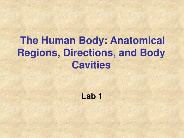 the human body anatomical regions directions and body cavities