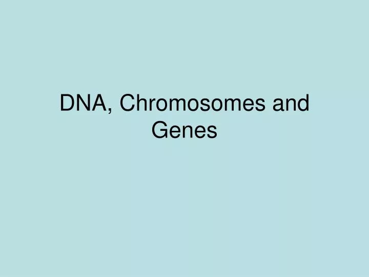 dna chromosomes and genes