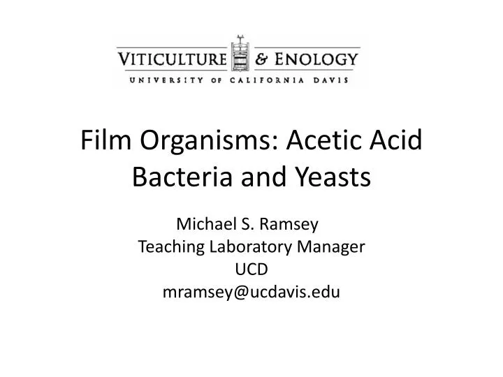 film organisms acetic acid bacteria and yeasts