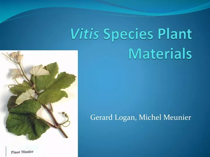 vitis species plant materials