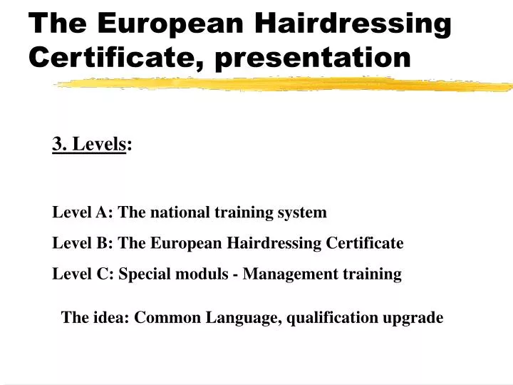 the european hairdressing certificate presentation