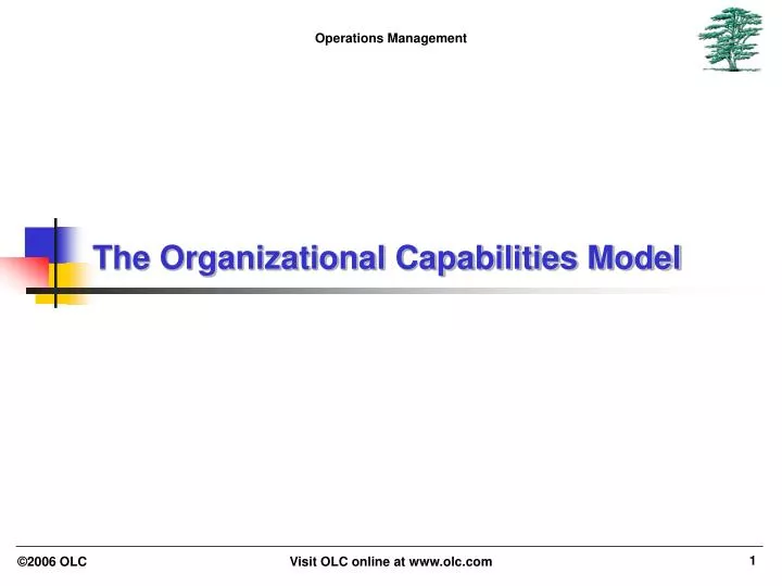 the organizational capabilities model