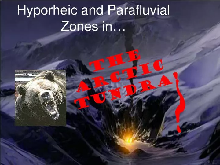 hyporheic and parafluvial zones in