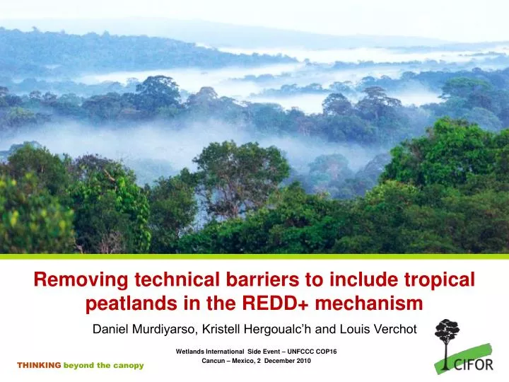removing technical barriers to include tropical peatlands in the redd mechanism