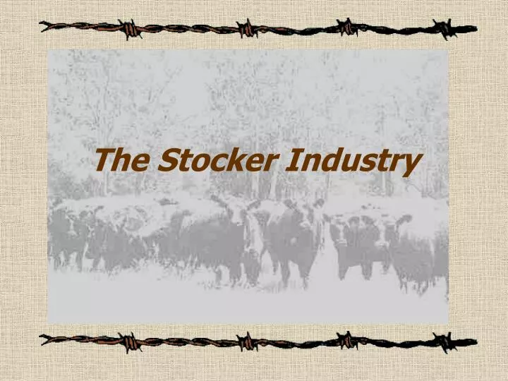 the stocker industry