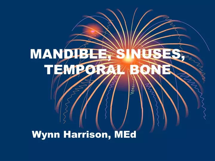 mandible sinuses temporal bone