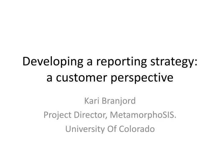 developing a reporting strategy a customer perspective