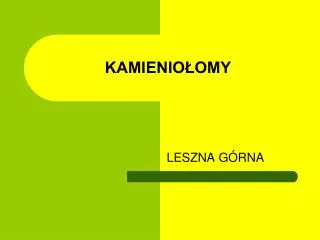 kamienio omy