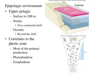 Epipelagic environment Upper pelagic Surface to 200 m Neritic Over continental shelf Oceanic