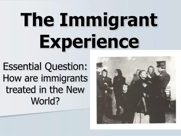 the immigrant experience