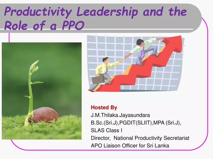 productivity leadership and the role of a ppo