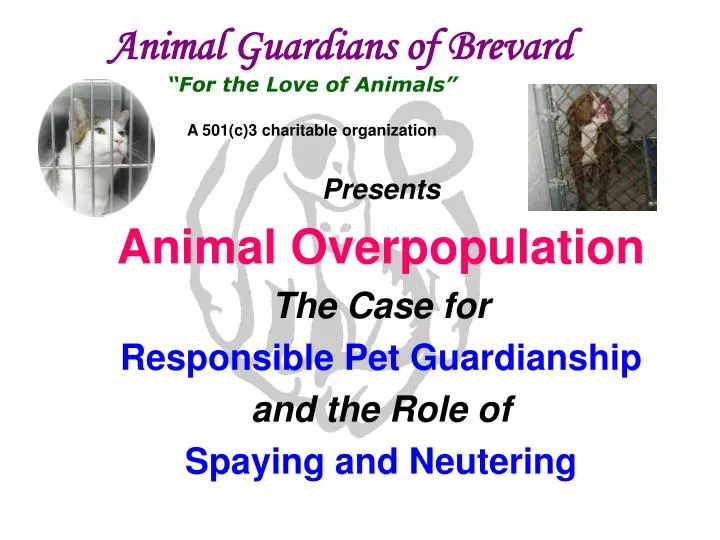 animal guardians of brevard for the love of animals a 501 c 3 charitable organization