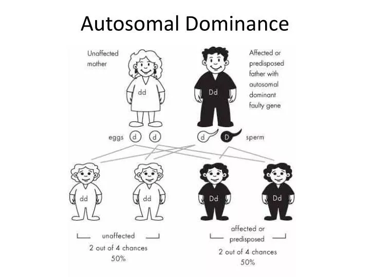autosomal dominance