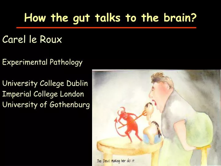 how the gut talks to the brain