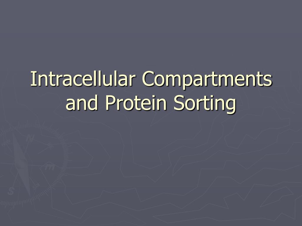 PPT - Intracellular Compartments and Protein Sorting PowerPoint ...