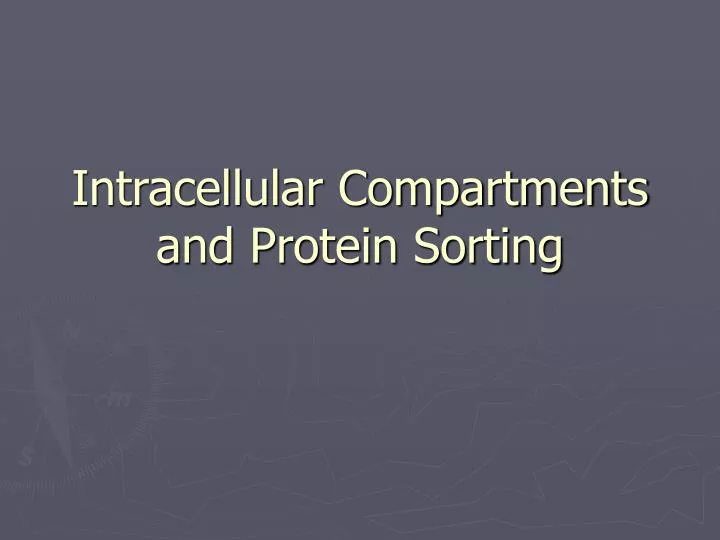 intracellular compartments and protein sorting