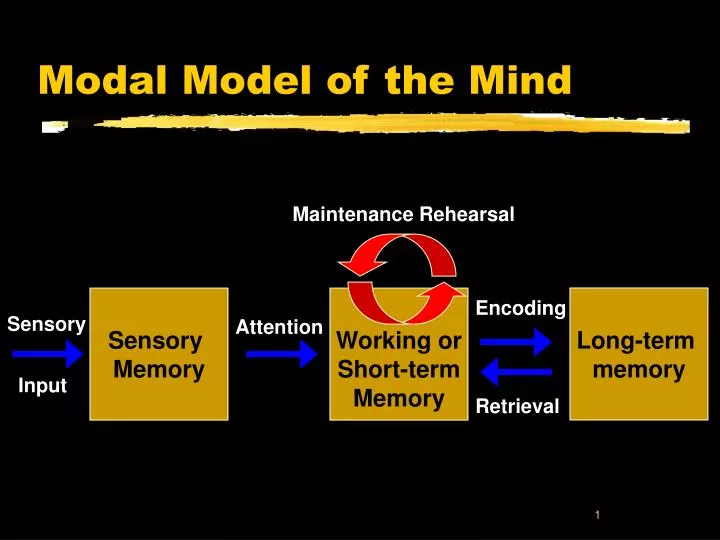 modal model of the mind