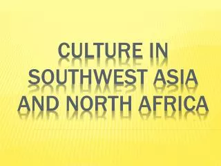 Culture iN southwest Asia and north Africa