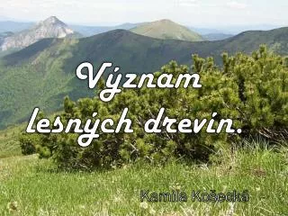 v znam lesn ch drev n