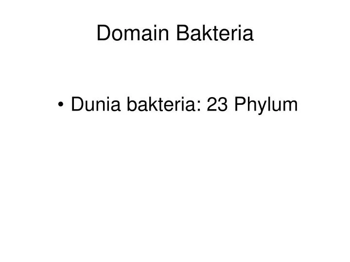 domain bakteria