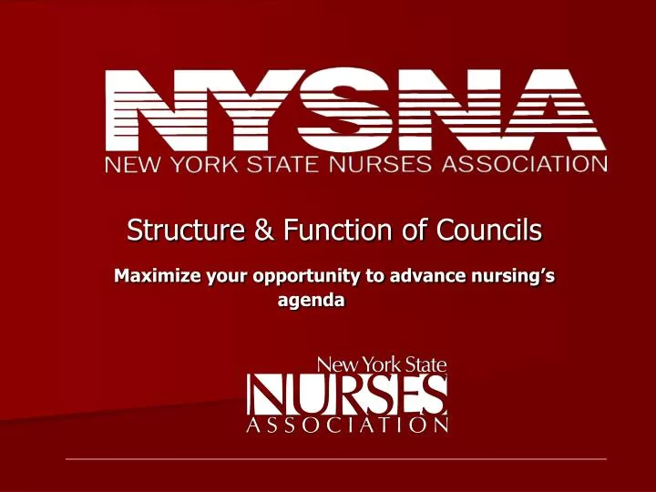 structure function of councils maximize your opportunity to advance nursing s agenda