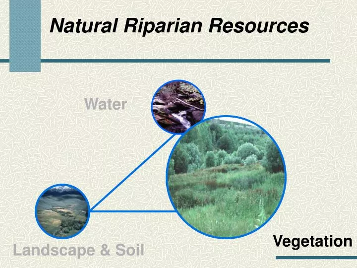 natural riparian resources