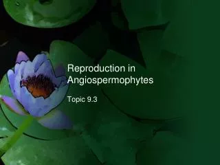 Reproduction in Angiospermophytes