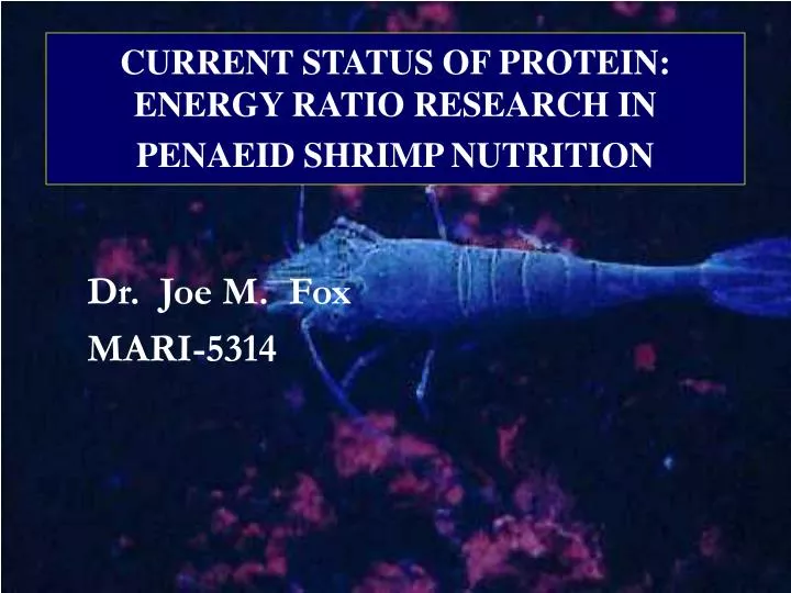current status of protein energy ratio research in penaeid shrimp nutrition