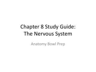 Chapter 8 Study Guide: The Nervous System