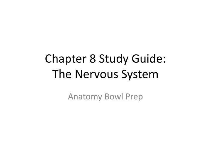 chapter 8 study guide the nervous system