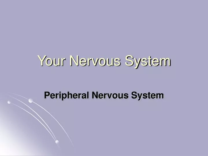 your nervous system