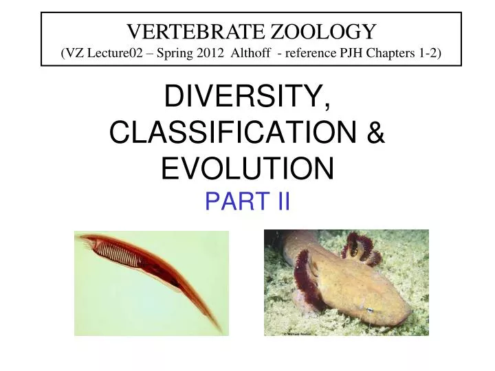 diversity classification evolution part ii