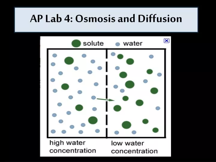 ap lab 4 osmosis and diffusion