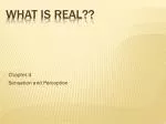 Exploring Sensation and Perception: Understanding Reality Through Our Senses - slide 1