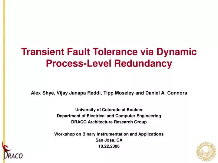 transient fault tolerance via dynamic process level redundancy