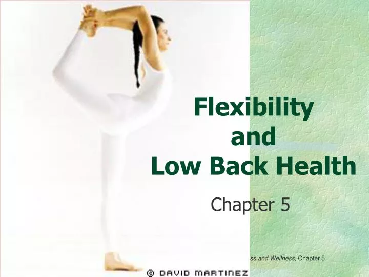 flexibility and low back health